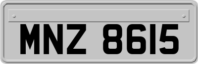 MNZ8615