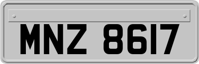 MNZ8617