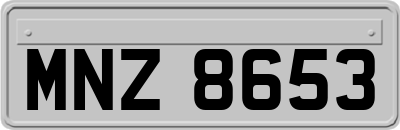 MNZ8653