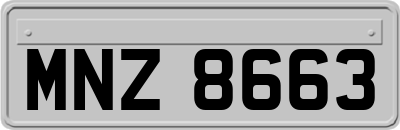 MNZ8663