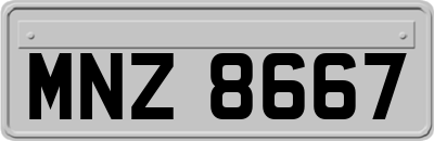 MNZ8667