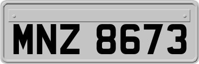 MNZ8673