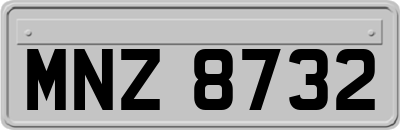 MNZ8732