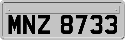 MNZ8733