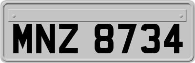 MNZ8734