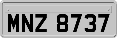 MNZ8737