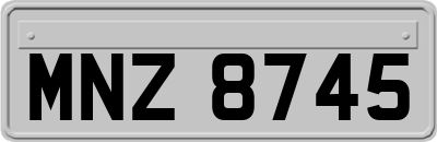 MNZ8745