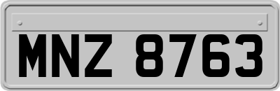 MNZ8763