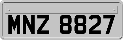 MNZ8827