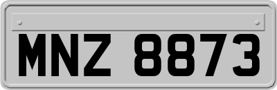 MNZ8873