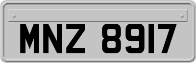 MNZ8917
