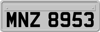 MNZ8953