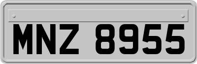 MNZ8955