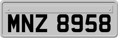 MNZ8958