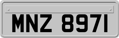 MNZ8971