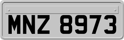 MNZ8973