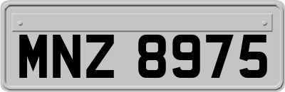 MNZ8975