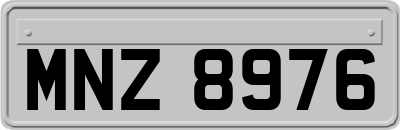 MNZ8976