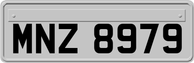 MNZ8979