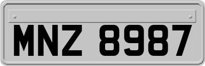MNZ8987