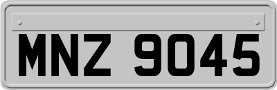 MNZ9045