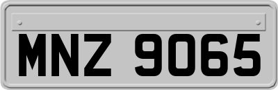 MNZ9065