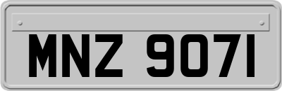 MNZ9071