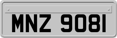 MNZ9081