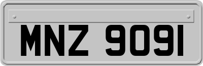MNZ9091