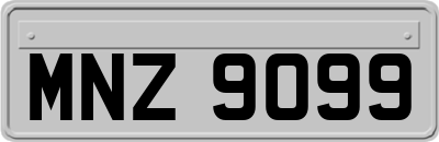 MNZ9099