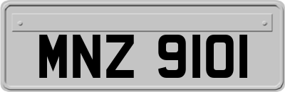 MNZ9101