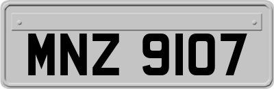 MNZ9107