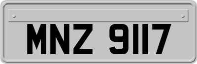 MNZ9117