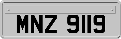 MNZ9119