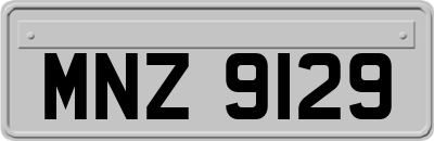 MNZ9129