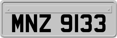 MNZ9133