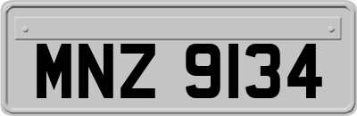 MNZ9134
