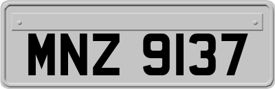 MNZ9137