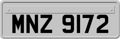 MNZ9172