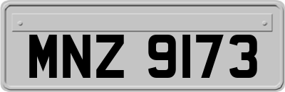 MNZ9173