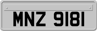 MNZ9181