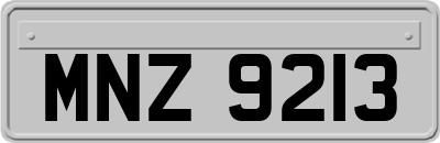 MNZ9213