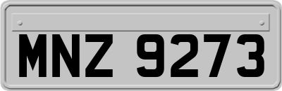 MNZ9273