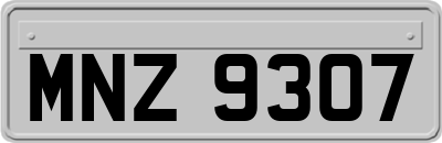 MNZ9307