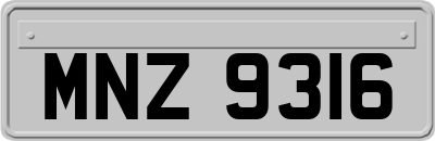 MNZ9316