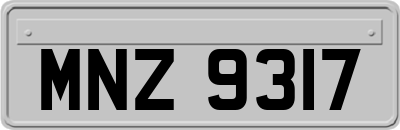 MNZ9317
