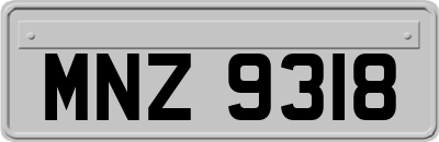 MNZ9318