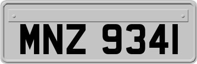 MNZ9341