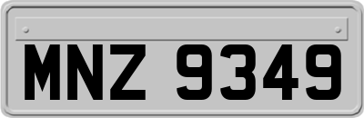 MNZ9349