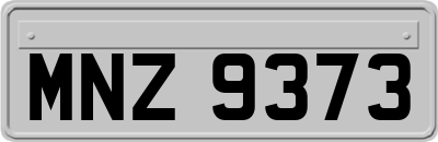 MNZ9373